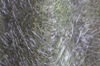 Fanners Green fibreglass roof work